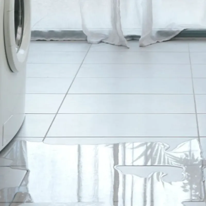 Appliance Leak Cleanup in Abbotsford, WI