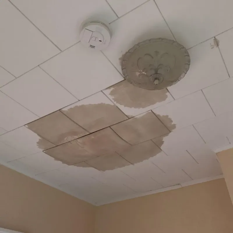 Ceiling Water Damage Repair in Abbotsford, WI