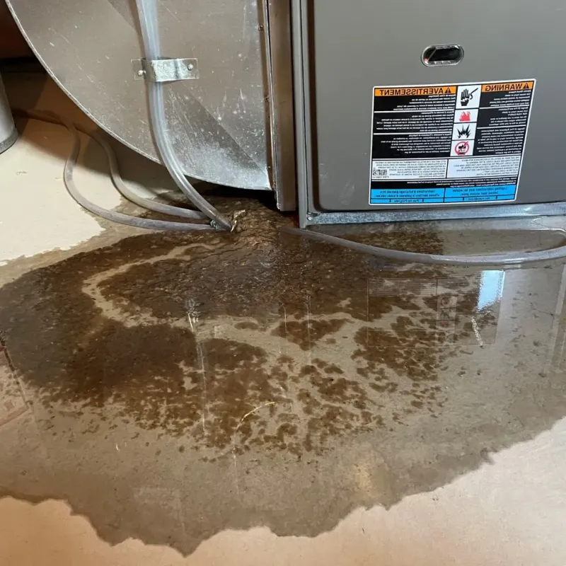 Pipe Burst and Leak Restoration in Abbotsford, WI
